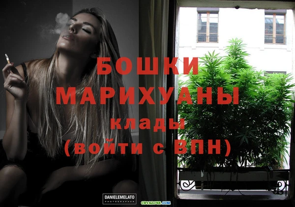 индика Костерёво
