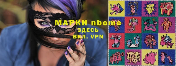 индика Костерёво