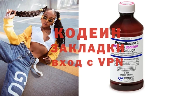индика Костерёво
