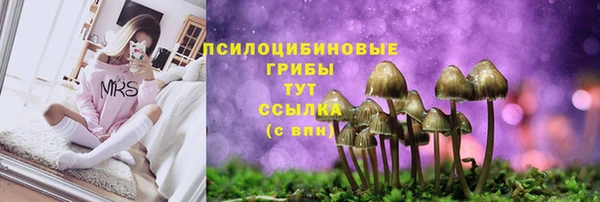 мдпв Коряжма